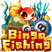 Bingo Fishing on Jillitt